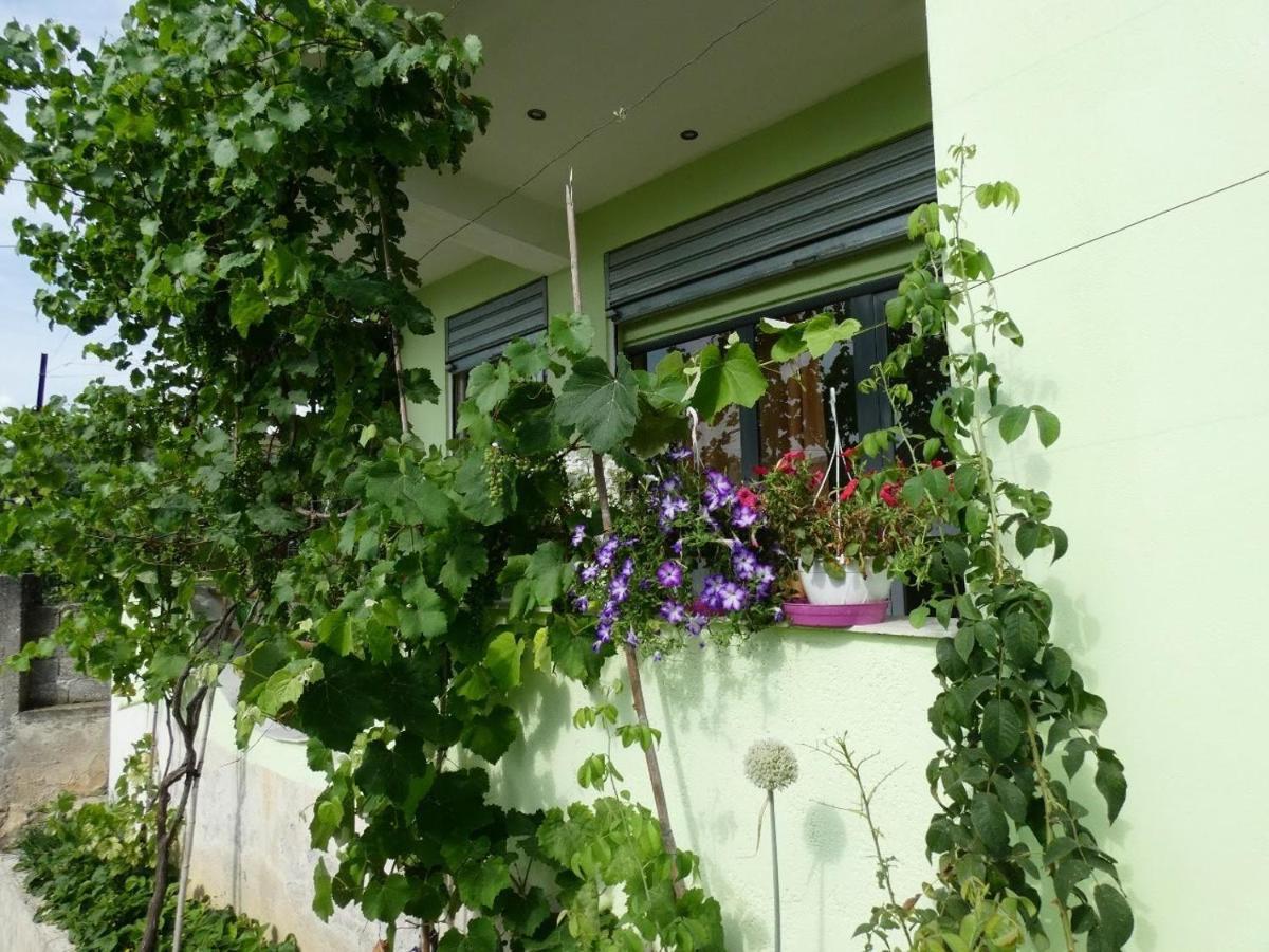 Guesthouse Aleksander เบราท ภายนอก รูปภาพ